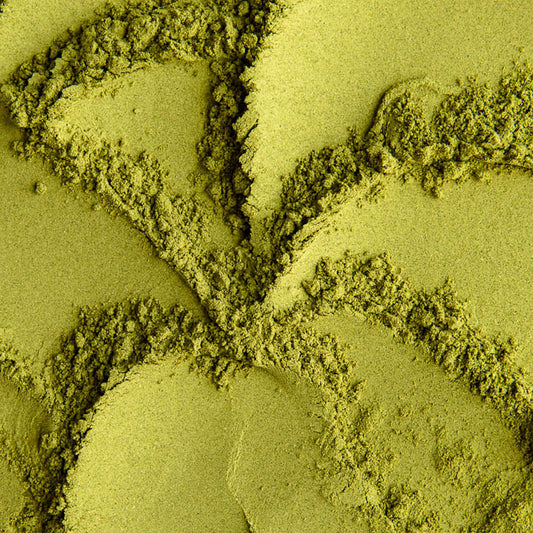 Polvere di Moringa