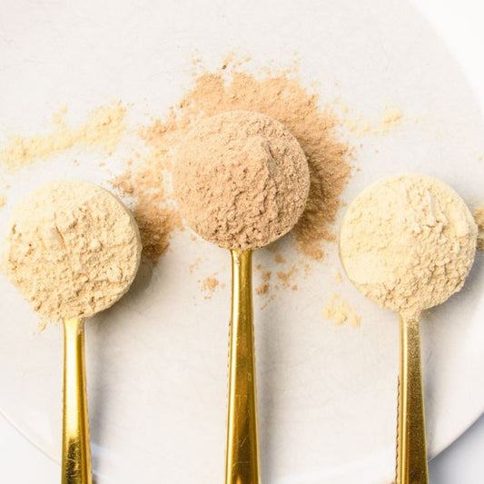 The Protein Bundle